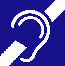Deaf Accessible Services